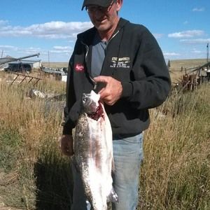 Meet your Posher, Rodney